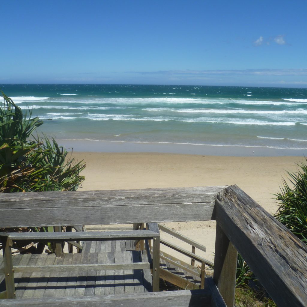Man sieht das türkisfarbene Meer mit beigem Sandstrand und strahlend blauem Himmel. Im Vordergrund ist eine Holzverbauung zu sehen, die schon etwas verwittert ist. Ein grüner Strauch befindet sich auf der rechten Seite.