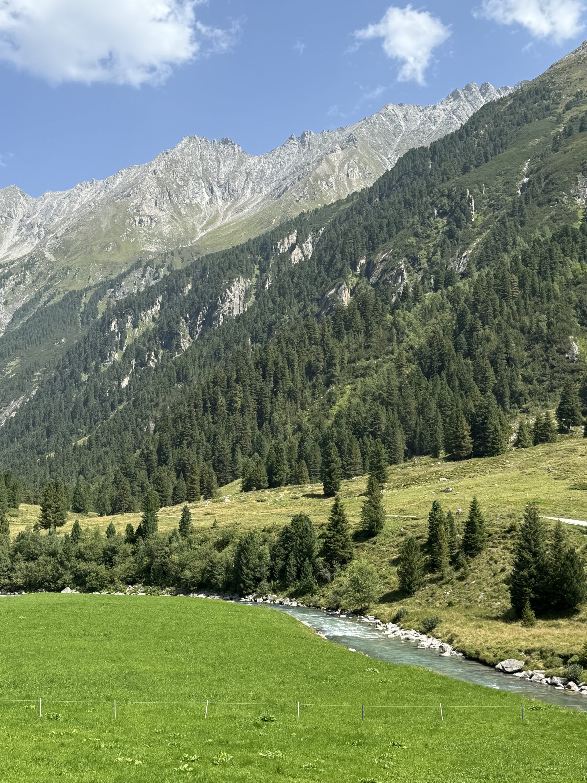 Ein Bild von einer Berglandschaft. Man sieht mehrere hohe Berge im Hintergrund. Davor befinden sich Wiesen und einige Bäume. Durch die Landschaft zieht sich ein kleiner Fluss. Die Berge sind teilweise bewaldet.