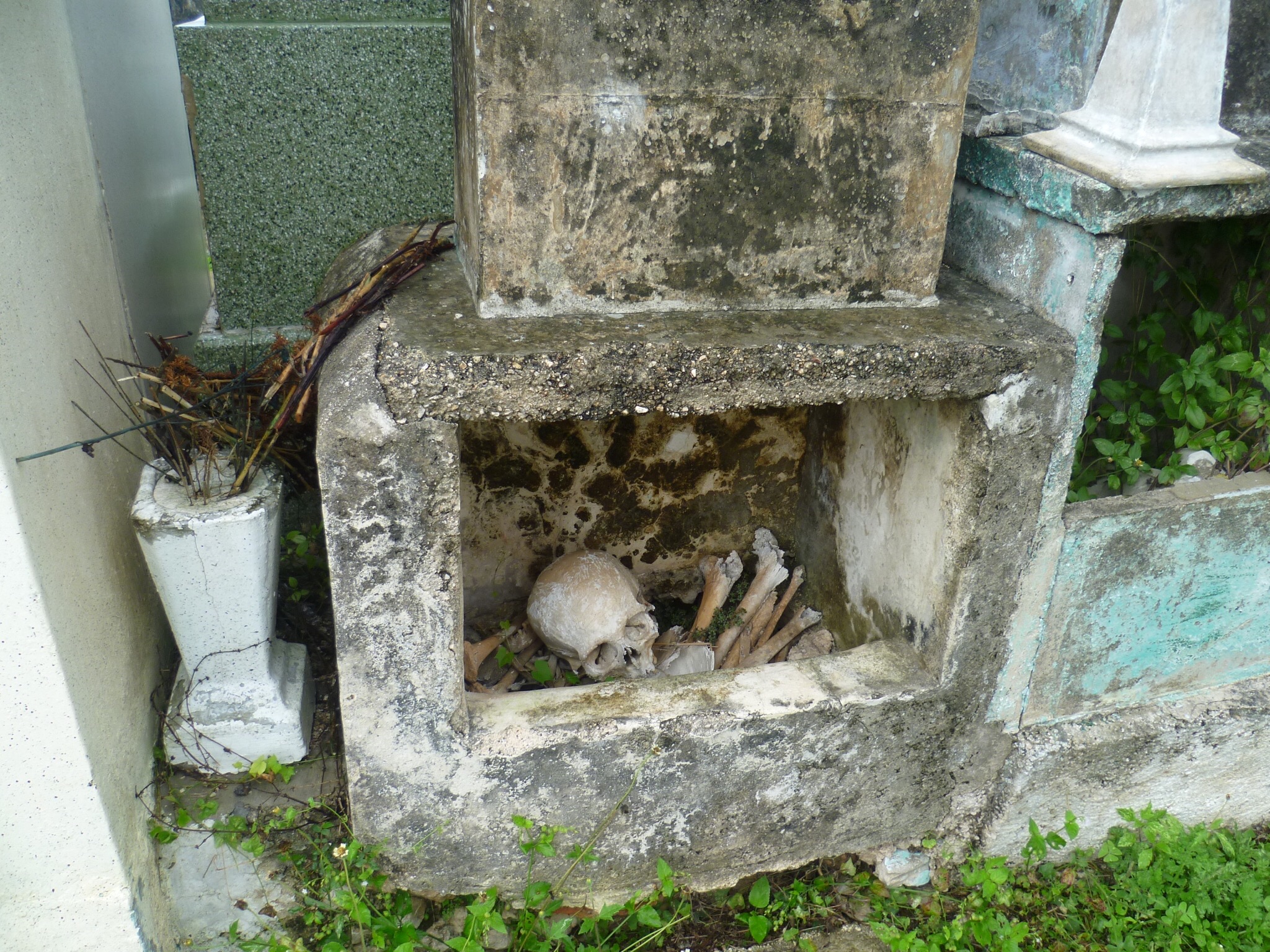 Man sieht einen offenen Grabstein mit Knochen darin. Einen Schädel und ein paar andere Knochen sind sichtbar. Der Grabstein ist verfallen und man sieht Gras am unteren Rand. Er steht auf einem Friedhof.